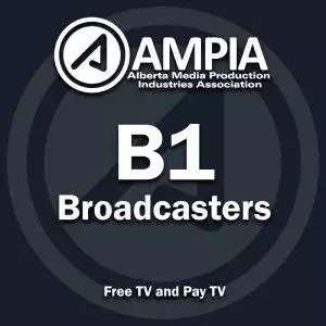 B1 - Broadcasters (Free TV and Pay TV)