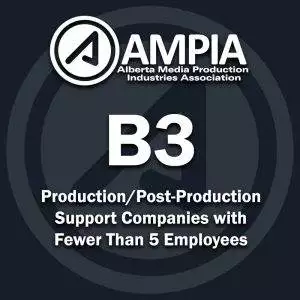 B3 - Production/Post-Production Support Companies with Fewer Than 5 Employees